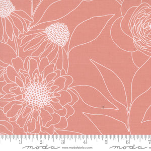 Botany - Etched Floral - Camellia