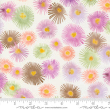 Load image into Gallery viewer, Blooming Lovely - Aster Cream