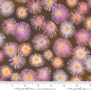 Blooming Lovely - Aster Sepia