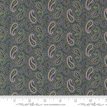 Load image into Gallery viewer, Goodnight Irene - Arthur&#39;s Tie Paisley - Graphite