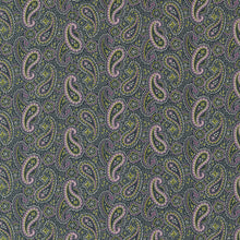 Load image into Gallery viewer, Goodnight Irene - Arthur&#39;s Tie Paisley - Graphite