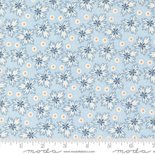 Load image into Gallery viewer, Denim &amp; Daisies - Prairie in Stonewash