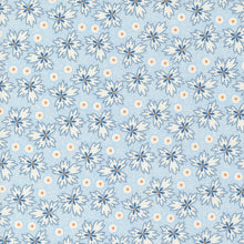 Load image into Gallery viewer, Denim &amp; Daisies - Prairie in Stonewash