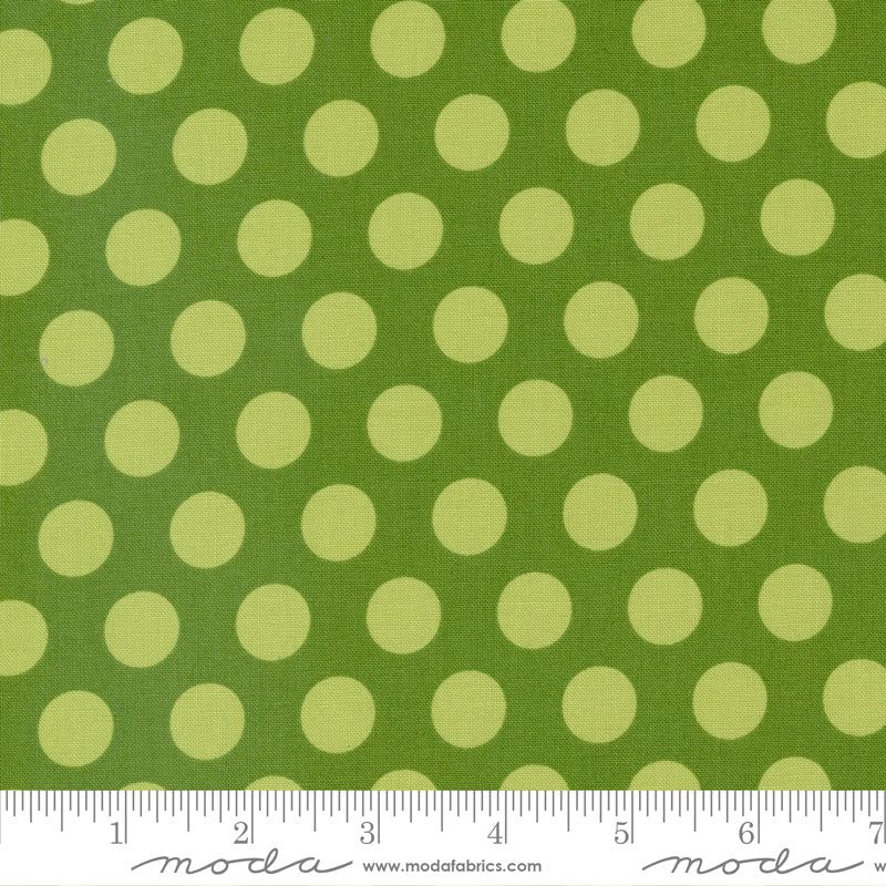 Favourite Things - Dots Evergreen