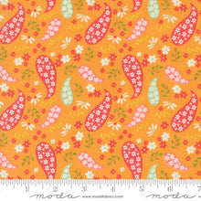 Load image into Gallery viewer, Raspberry Summer - Paisley - Apricot