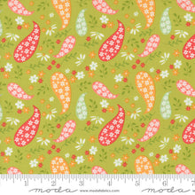 Load image into Gallery viewer, Raspberry Summer - Paisley - Lime