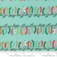 Load image into Gallery viewer, Cozy Wonderland - Stocking Stripe - Aqua