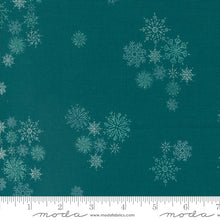 Load image into Gallery viewer, Cozy Wonderland - Snowflake - Teal