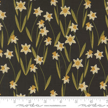 Load image into Gallery viewer, Bee Garden - Daffodils Black Metallic