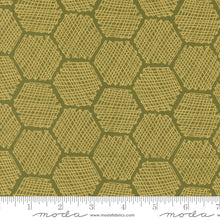 Load image into Gallery viewer, Bee Garden - Honeycomb Ivy Metallic