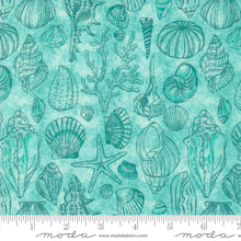 Load image into Gallery viewer, Serena Shores - Shells Aqua