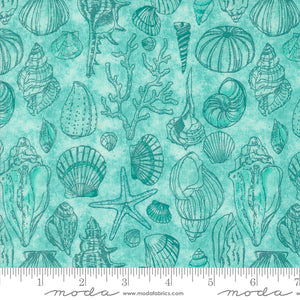 Serena Shores - Shells Aqua