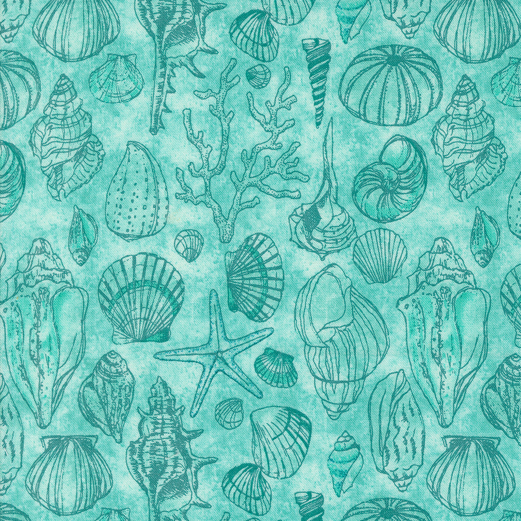 Serena Shores - Shells Aqua