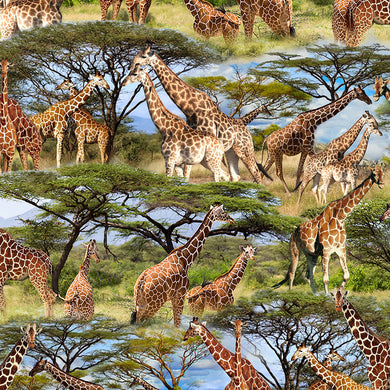 Serengeti Plains - Giraffes Savana Tower