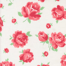 Load image into Gallery viewer, Summertime - Rose - Cream