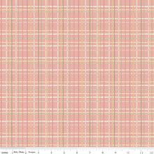 Load image into Gallery viewer, Love Me More - Plaid in Coral