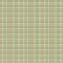 Load image into Gallery viewer, Love Me More - Plaid in Green