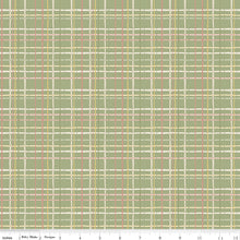 Load image into Gallery viewer, Love Me More - Plaid in Green