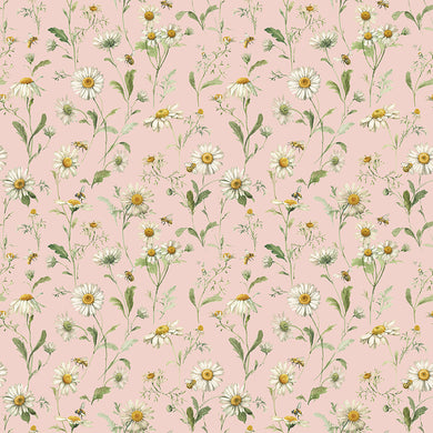 Love Me More - Daisies in Blush