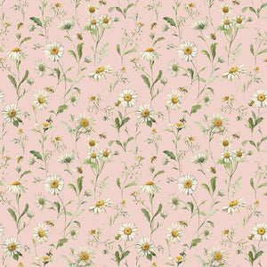 Love Me More - Daisies in Blush