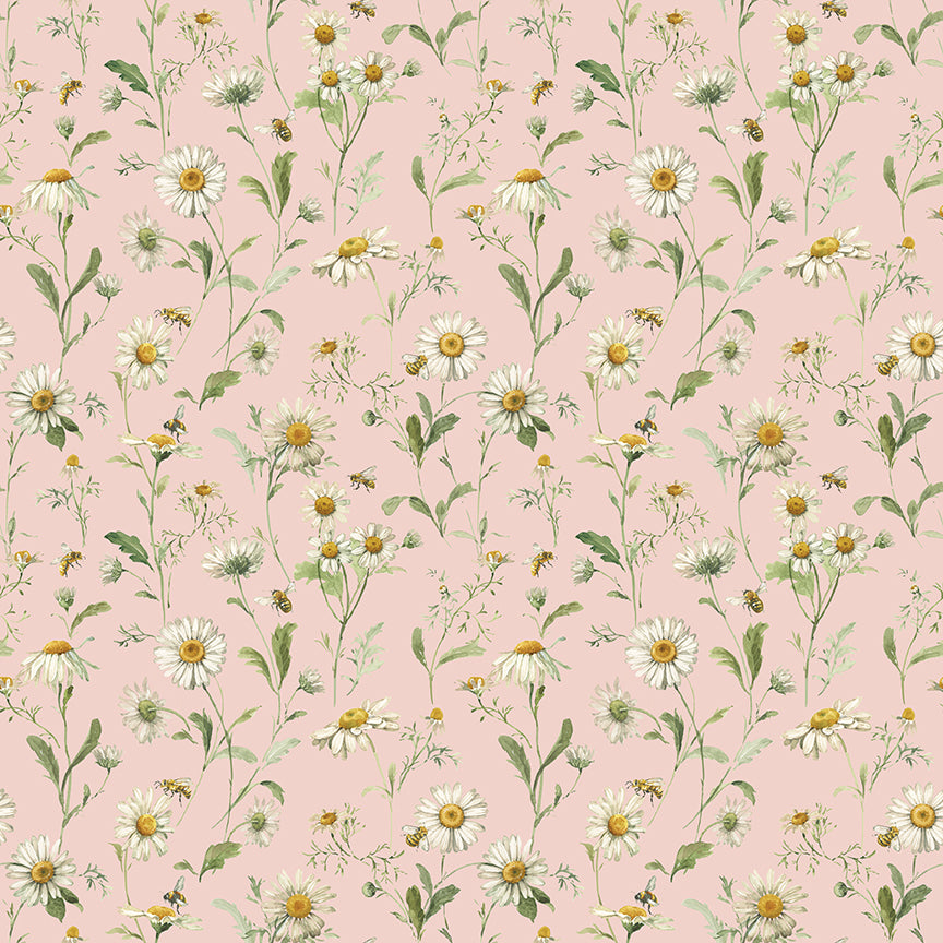 Love Me More - Daisies in Blush