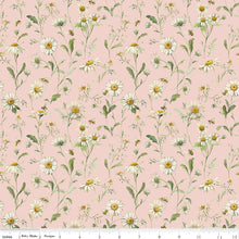 Load image into Gallery viewer, Love Me More - Daisies in Blush