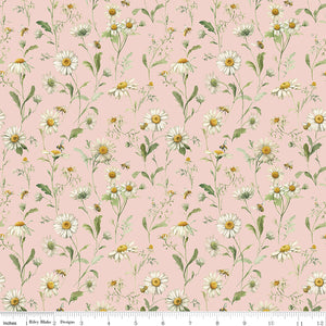 Love Me More - Daisies in Blush