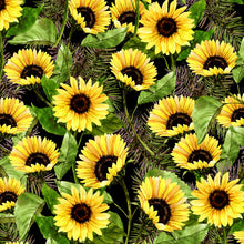 Load image into Gallery viewer, Sunshine &amp; Sunflowers Splatter in Black