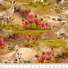 Load image into Gallery viewer, Outback Magic - Kangaroos