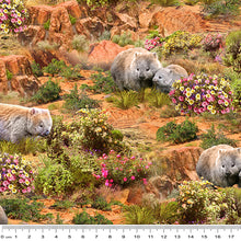 Load image into Gallery viewer, Outback Magic - Wombats